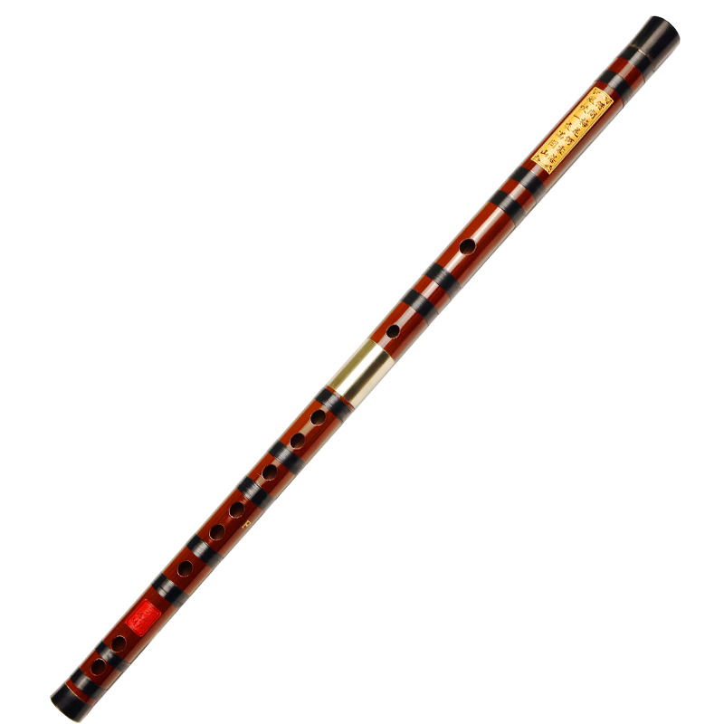 Professional Playing Bitter Ba - Musical Instrument Ending In A recension och pris