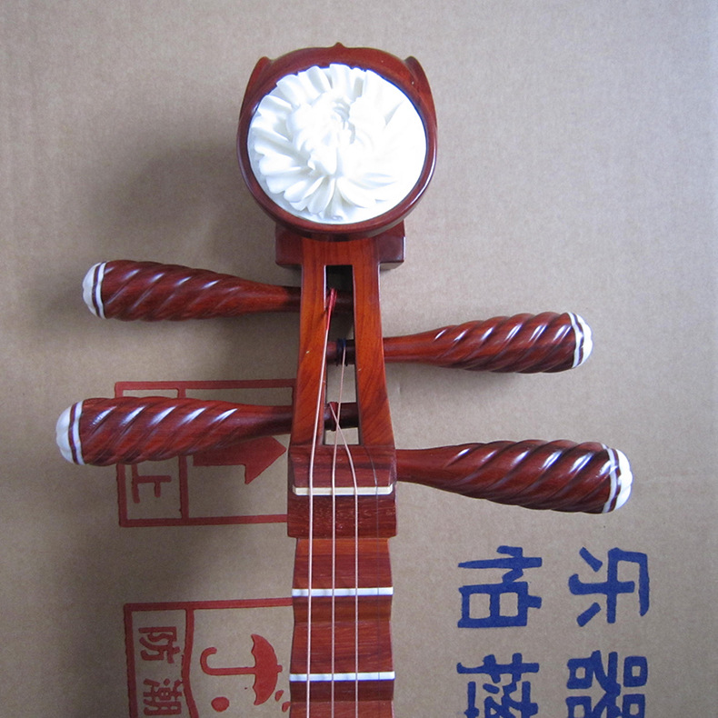 Professional Rosewood Pipa, Hi - Musical Instrument Ending In A recension och pris