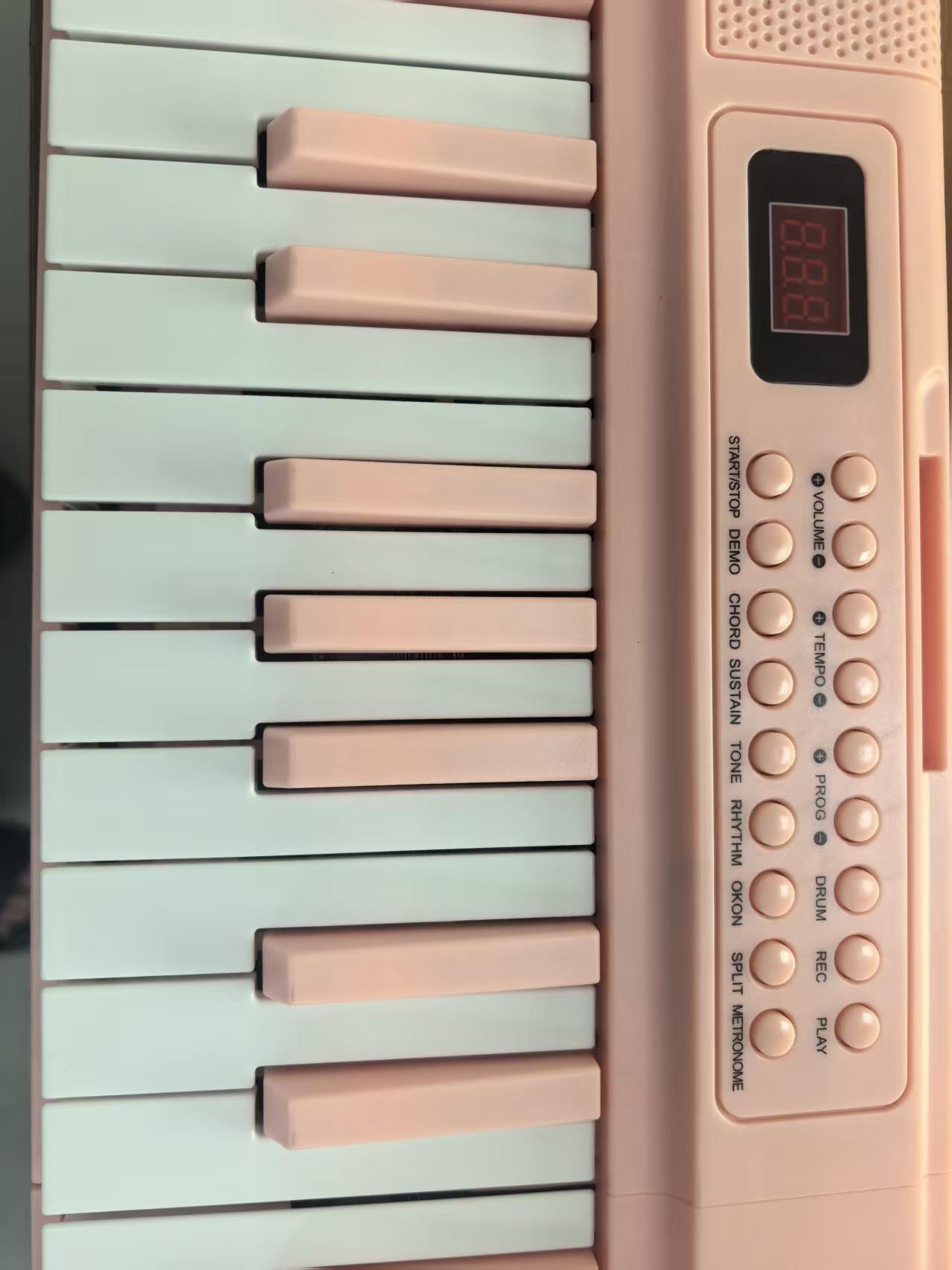 61-Key Portable Digital Piano  - Musical Instrument Keyboard recension och pris